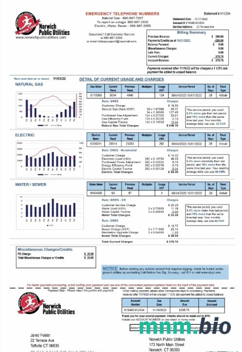 USA NORWICH Public UTILITIES rachunek za media Word i szablon PDF